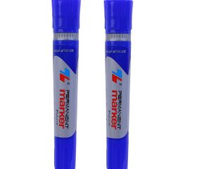 Bút lông Thiên Long 02